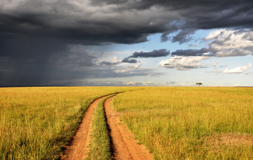 Picture of a road going through a field