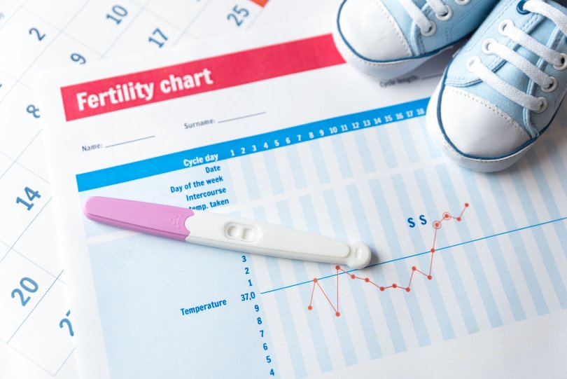 Graph around fertility with a concept of decay