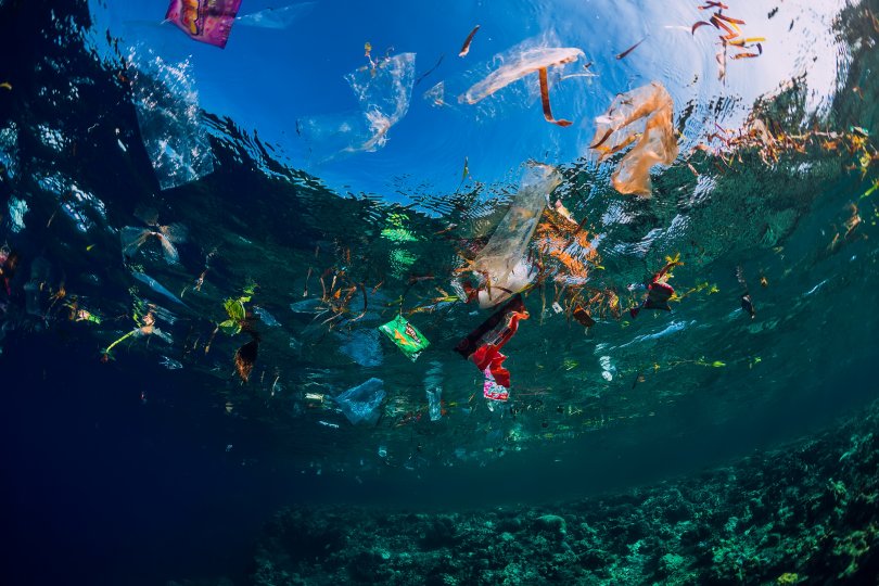 Plastic pollution in the oceans