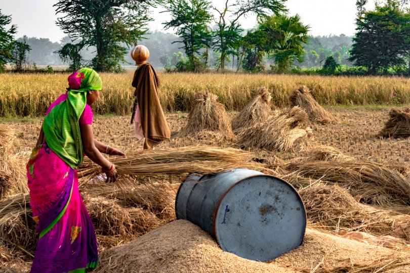 African women working in a field