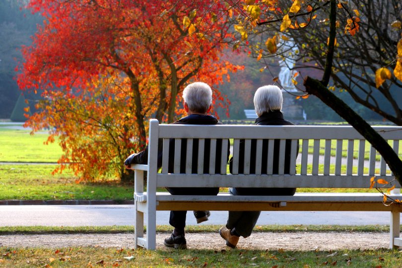 Elderly couple on a park bench gazing at the autumn-colored trees