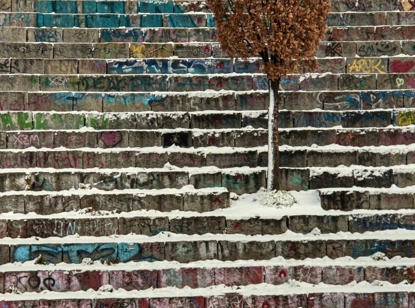 tree growing in the middle of a snow-covered staircase.