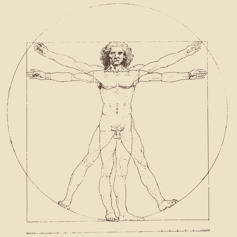 Illustration de l'Homme de Vitruve illustrant les proportions idéales du corps humain.