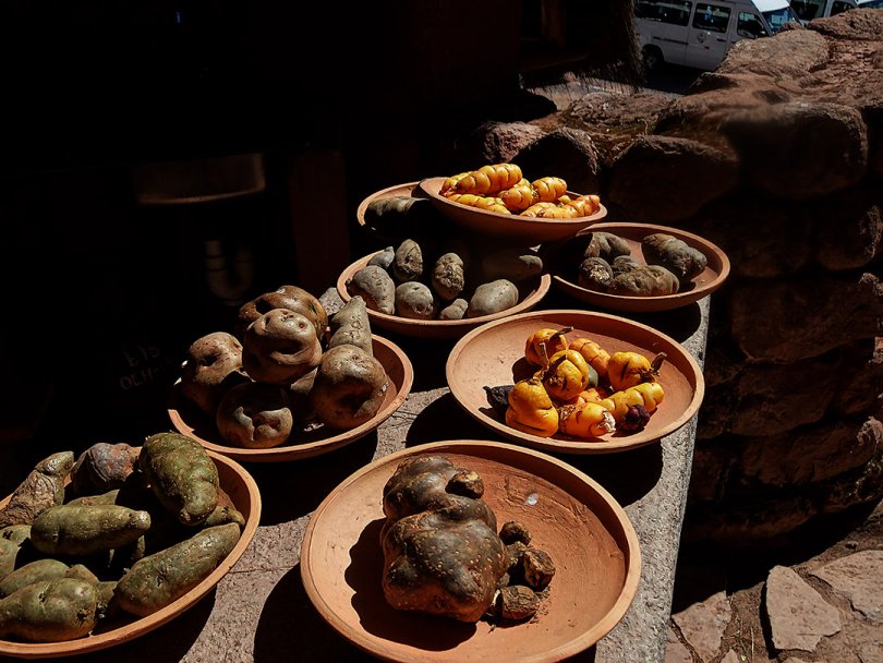 Différentes variétés de pomme de terre de couleurs et de formes différentes