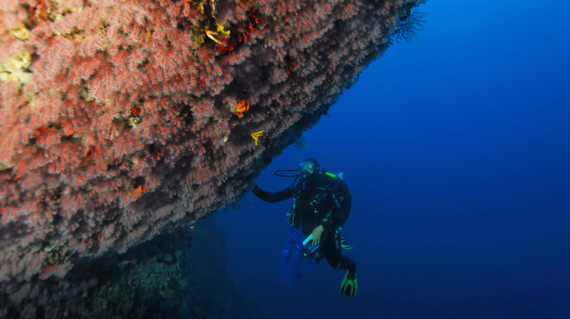 Photo of a person diving