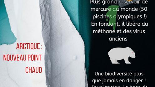Infographie - Claire Lapique