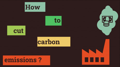 How to cut carbon emissions ?