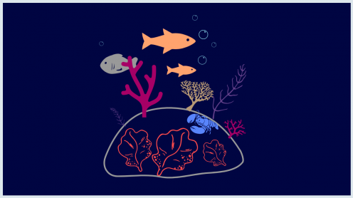 Illustration by Aurore Basiuk