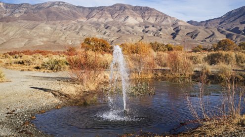 Picture by Tom on Adobe Stock