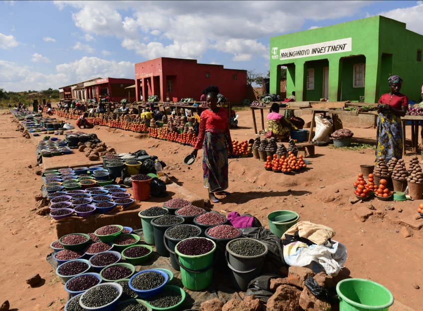 Marché de produit frais, dans un village aux abords du Parc national de Kasungu, au Malawi. Photo : Lex Hes & Boundless Southern Africa via Flickr